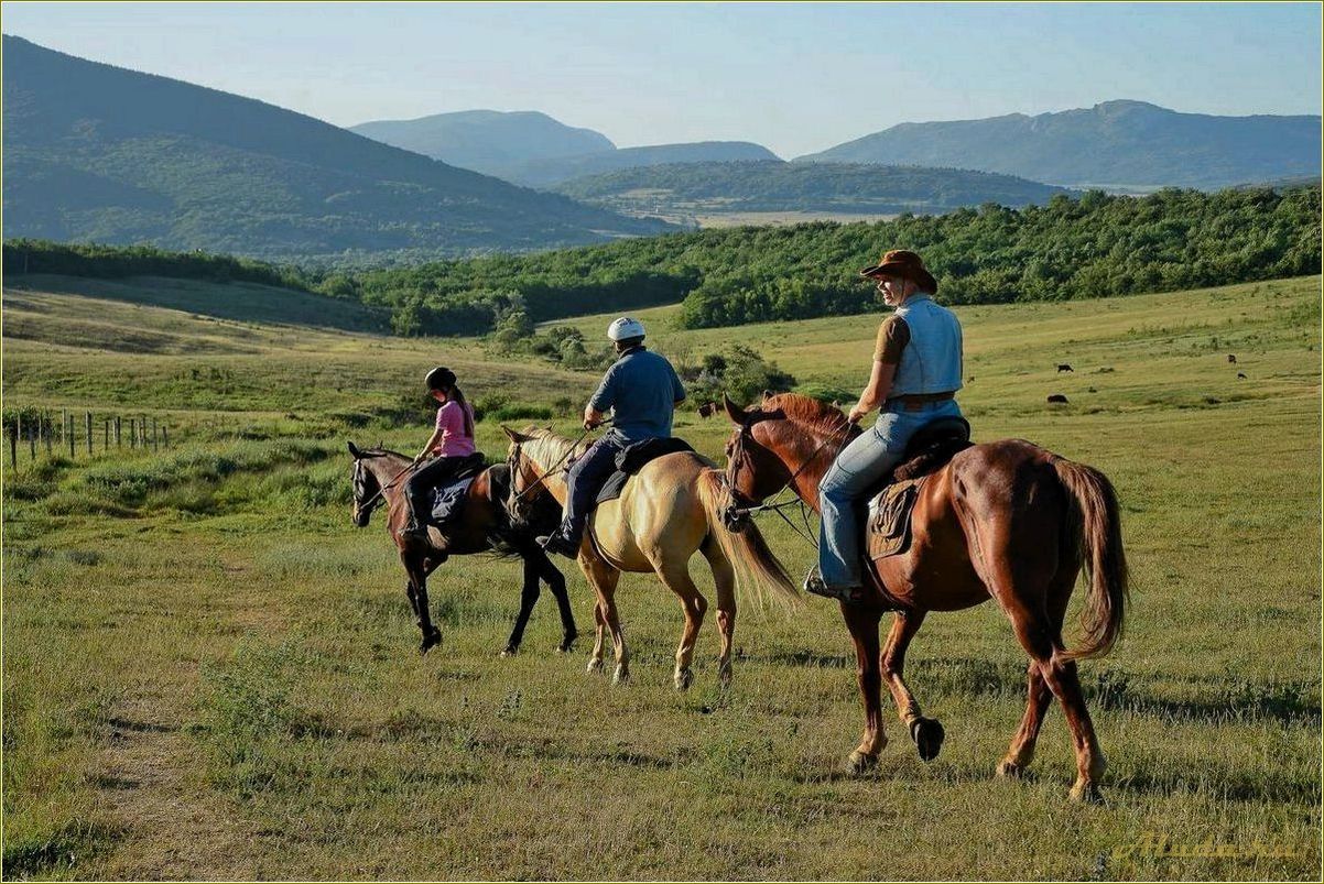 Отдых на лошадях в Ростовской области — идеальное место для любителей верховой езды и природы