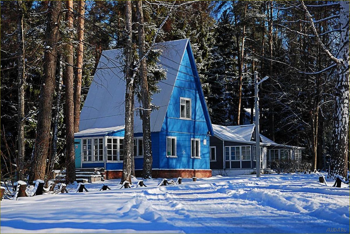 Отдых на Новый Год в Ивановской области — лучшие места, развлечения и программы для всей семьи