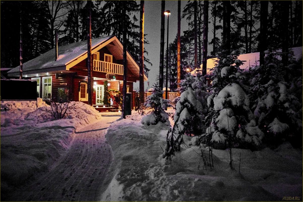 Отдых на Новый Год в Ивановской области — лучшие места, развлечения и программы для всей семьи