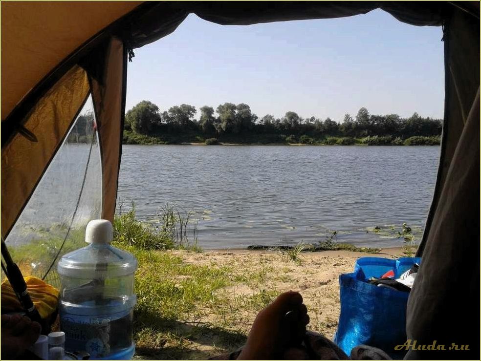 Отдых на оке с палатками в Рязанской области — где и как провести незабываемые выходные