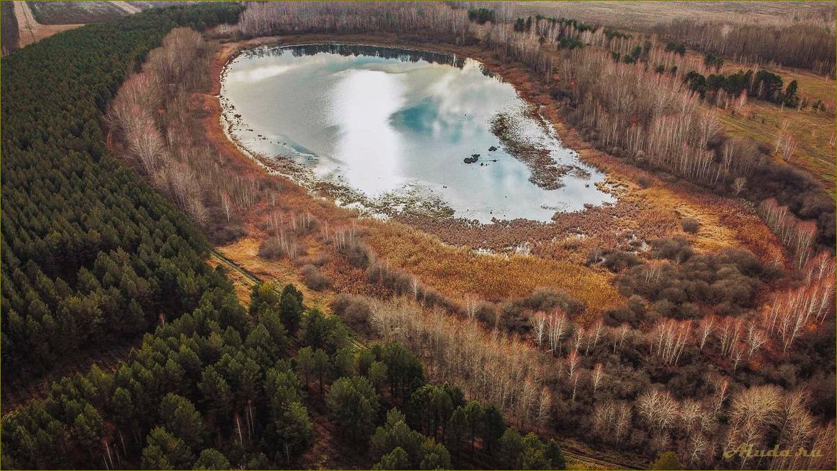 (отдых, природе, омске, омской, области) Отдых на природе в Омске и Омской области — лучшие места для активного отдыха и релаксации
