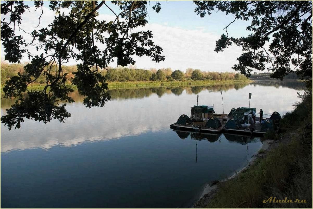 Отдых на речке в Ростовской области — наслаждайтесь красотой природы и уютом семейного отдыха