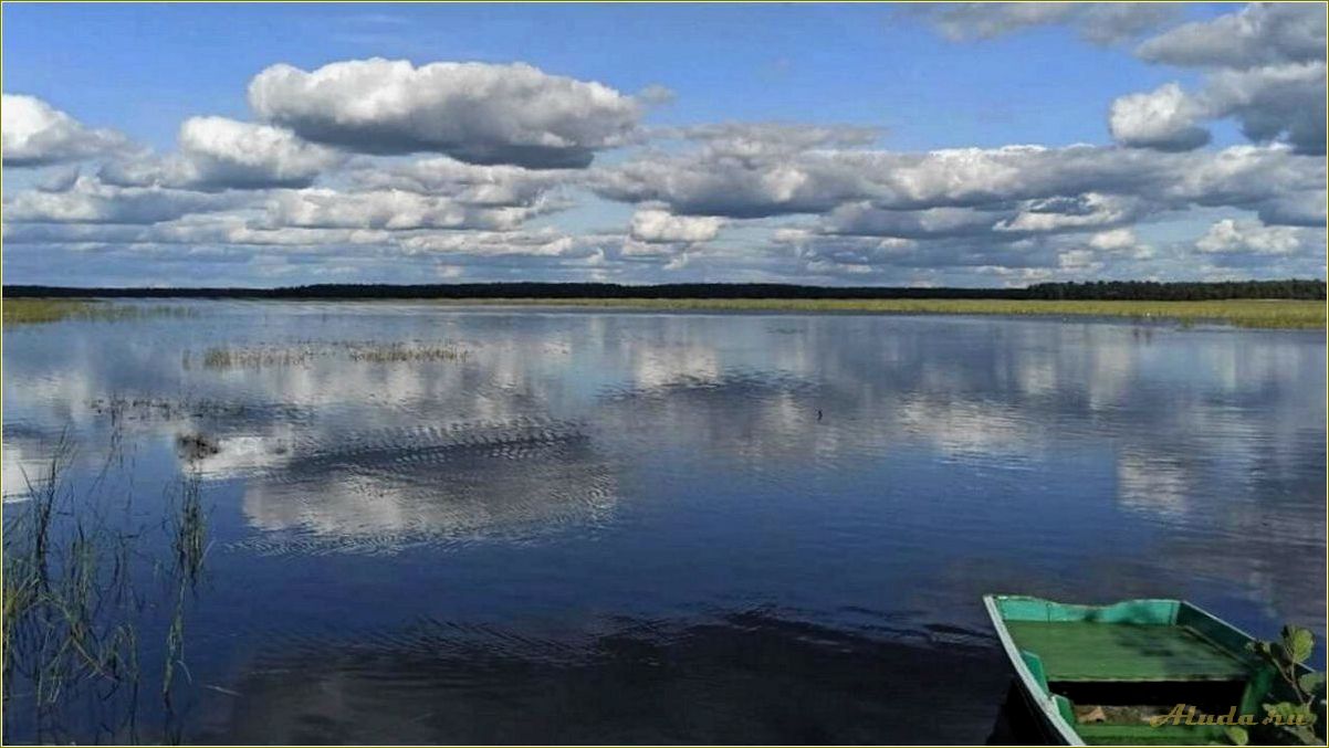 (отдых, реке, озере, рязанской, области) Отдых на реке или озере в Рязанской области — лучшие места для релаксации и активного отдыха