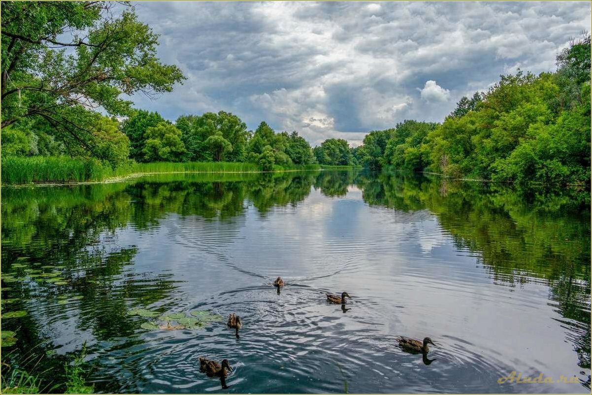 Отдых на реке в Тамбовской области