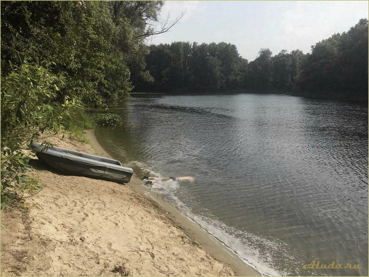 Отдых на реке в Тамбовской области