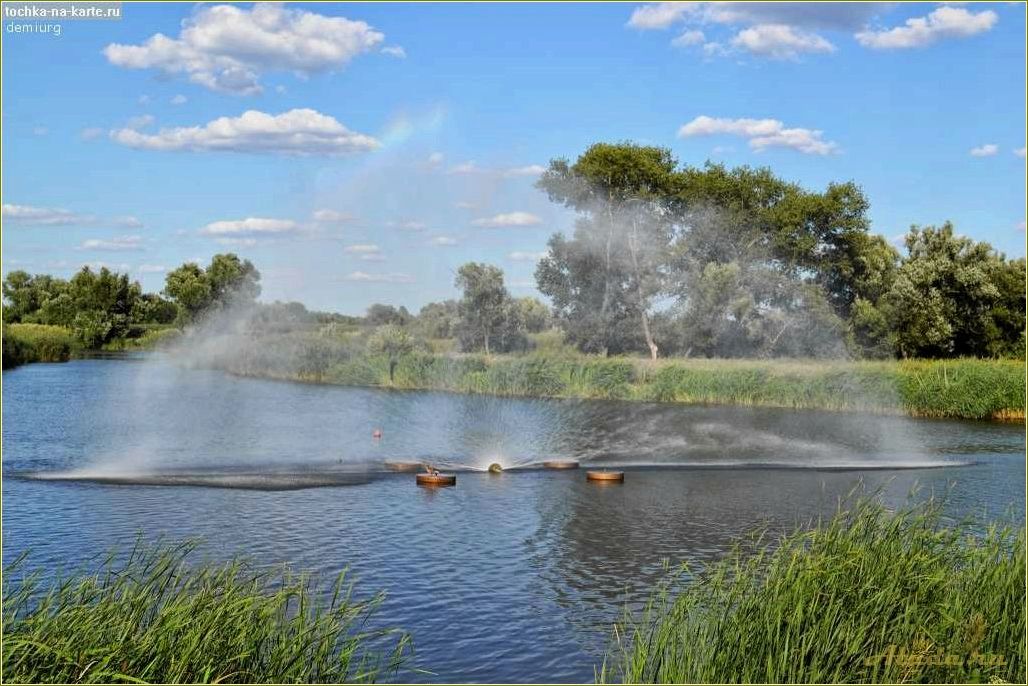 Отдых на реке в Тамбовской области