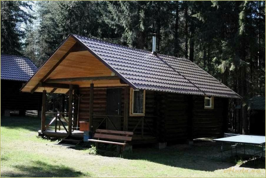 Отдых на турбазах Тверской области: лучшие варианты для отпуска