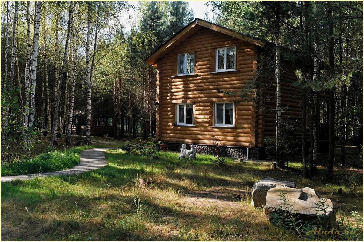 Отдых на турбазах Тверской области: лучшие варианты для отпуска