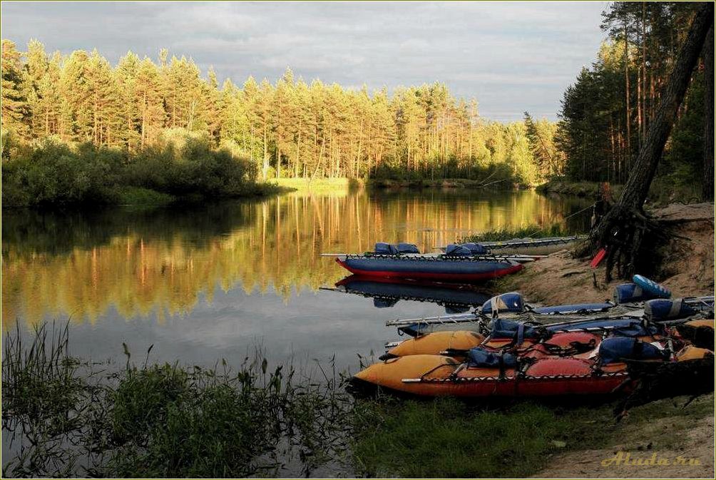 Отдых на Волге в Рязанской области — лучшие места, развлечения и достопримечательности