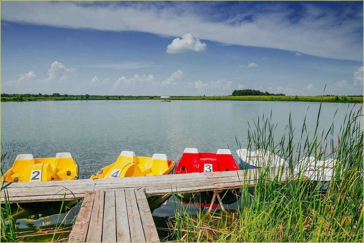 Отдых на Волге в Рязанской области — лучшие места, развлечения и достопримечательности