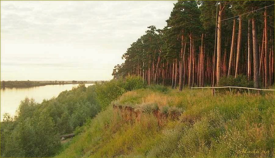 (идеальный, однодневный, отдых, омской, области) Идеальный однодневный отдых в Омской области — от природных чудес до культурных достопримечательностей