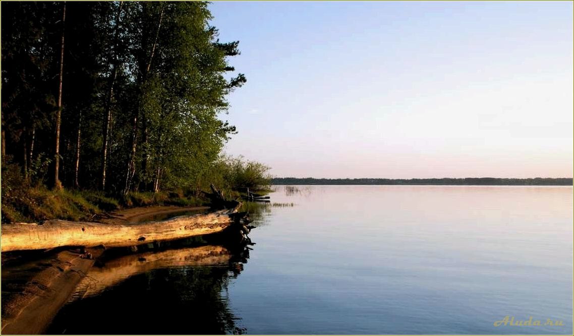 Отдых в Тверской области на берегу озера