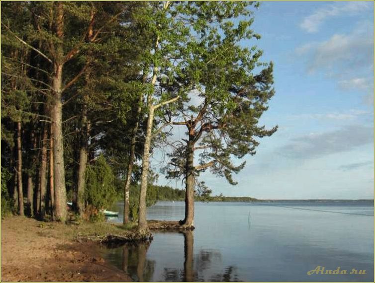 Отдых в Тверской области на берегу озера