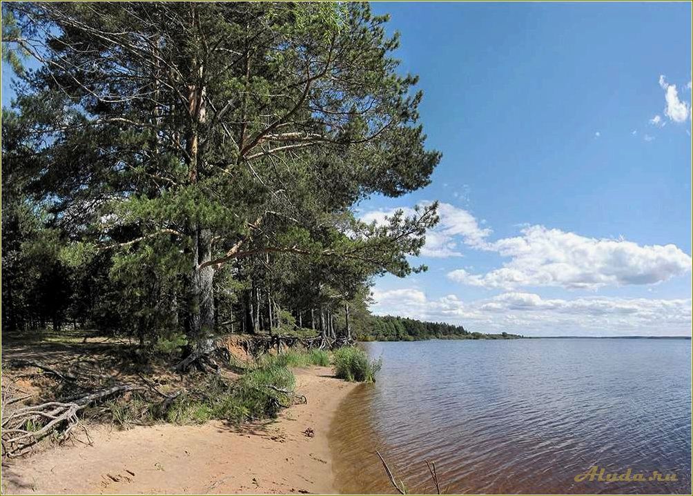 Отдых в Тверской области на берегу озера