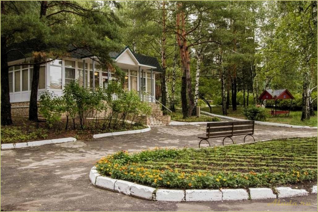 Отдых в Рязанской области — лучшая база отдыха 