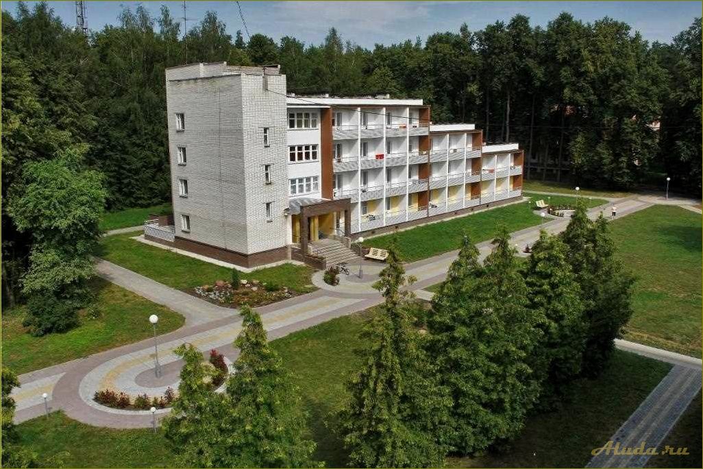 (отдых, ребенком, нижегородской, области, лучшие) Отдых с ребенком в Нижегородской области — лучшие места и развлечения для всей семьи