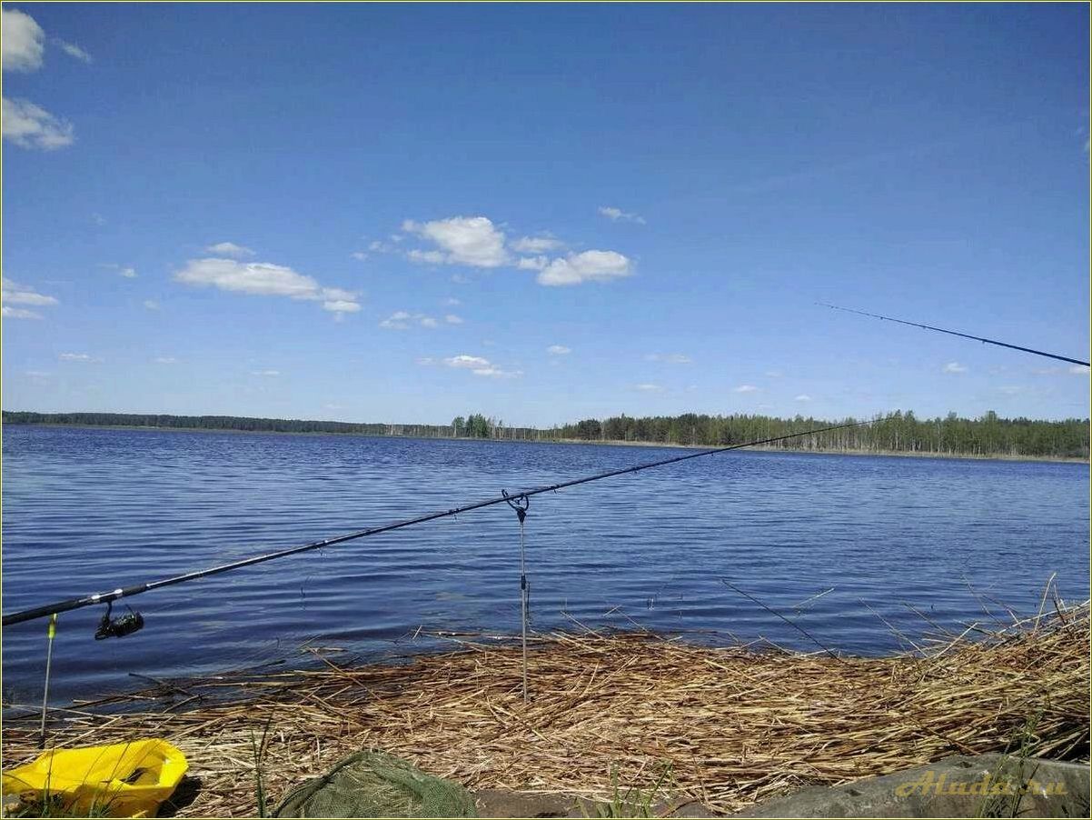 (отдых, рыбалкой, тверской, области) Отдых с рыбалкой в Тверской области