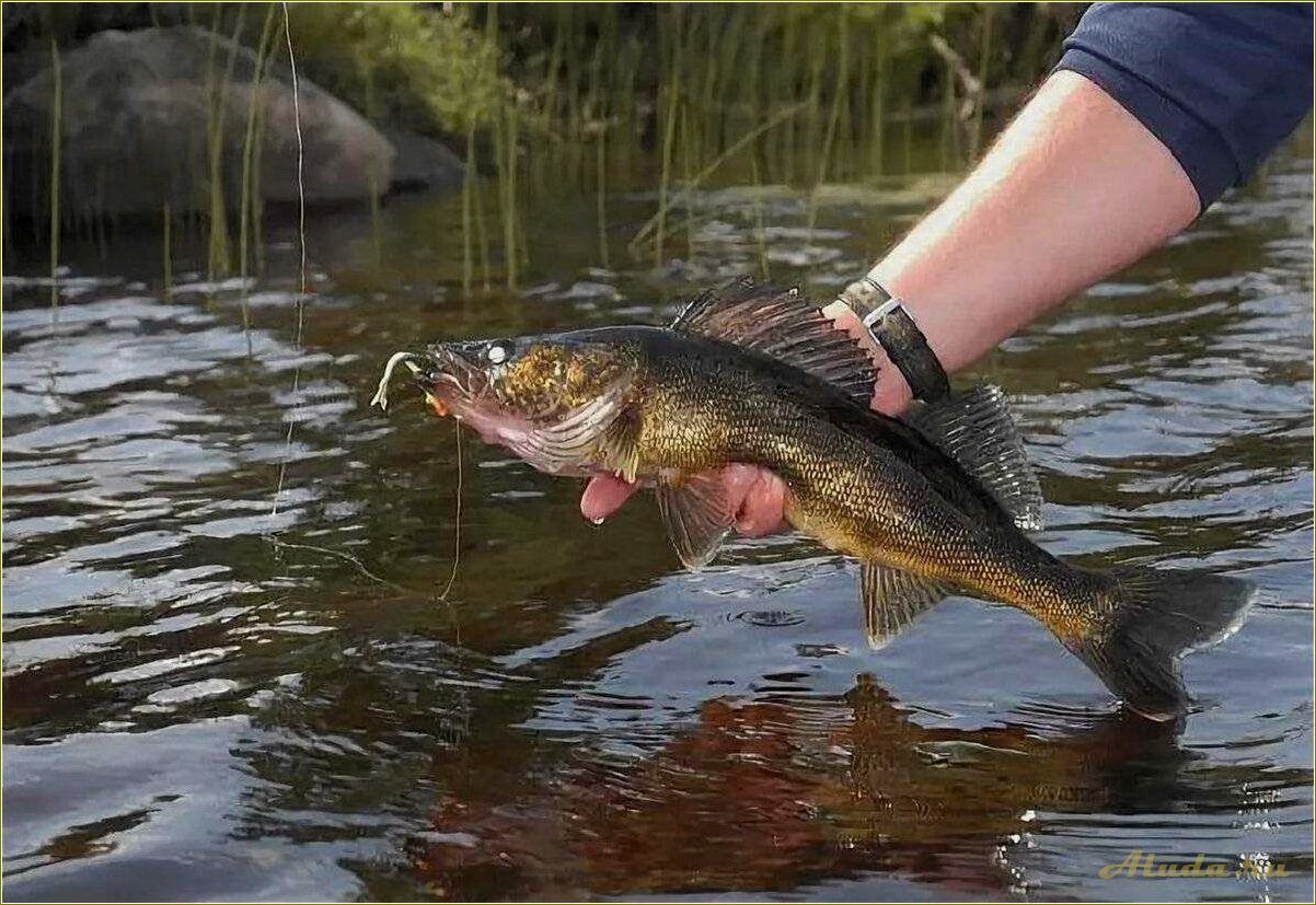 (отдых, рыбалкой, тверской, области) Отдых с рыбалкой в Тверской области