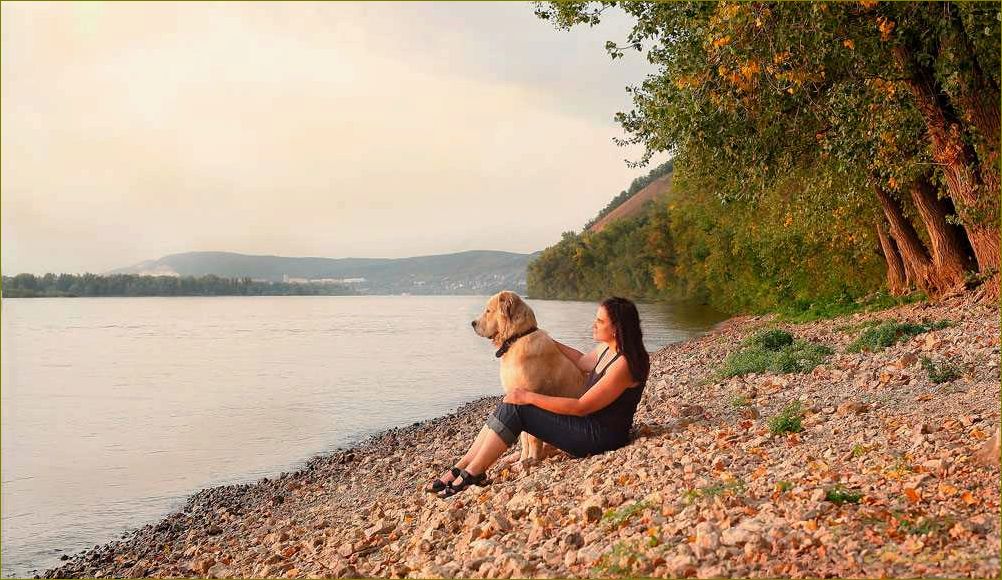 Отдых с собаками в Нижегородской области — лучшие места для активного отдыха вместе с вашим питомцем