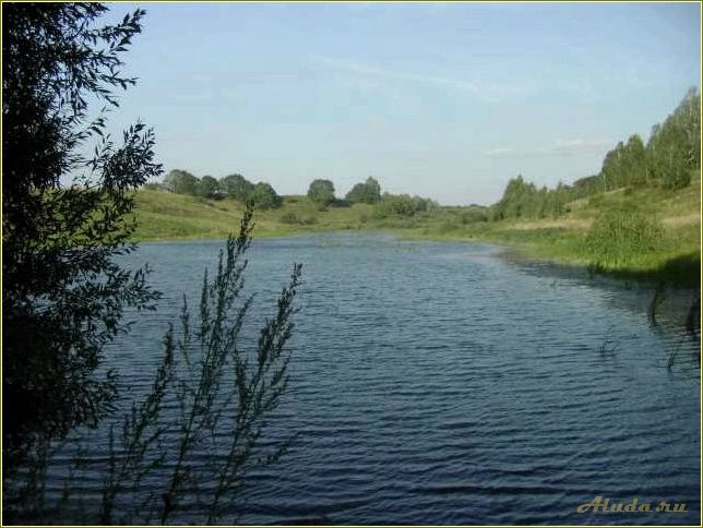 (отдых, кимовском, районе, тульской, области) Отдых в Кимовском районе Тульской области