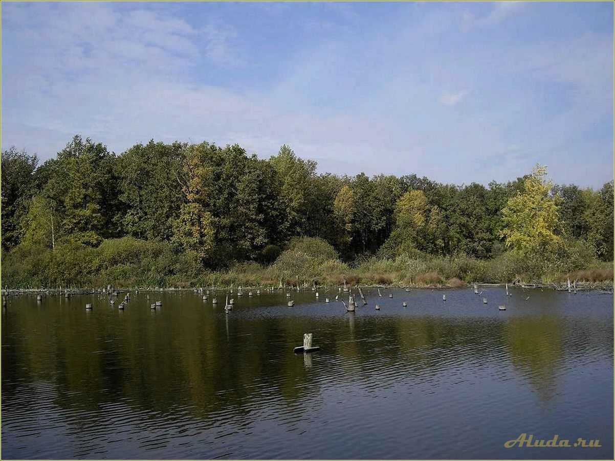(отдых, кимовском, районе, тульской, области) Отдых в Кимовском районе Тульской области