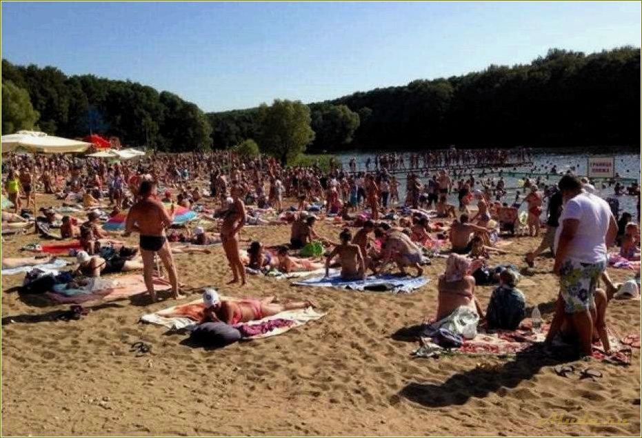 (отдых, тульской, области, пляжах) Отдых в Тульской области на пляжах