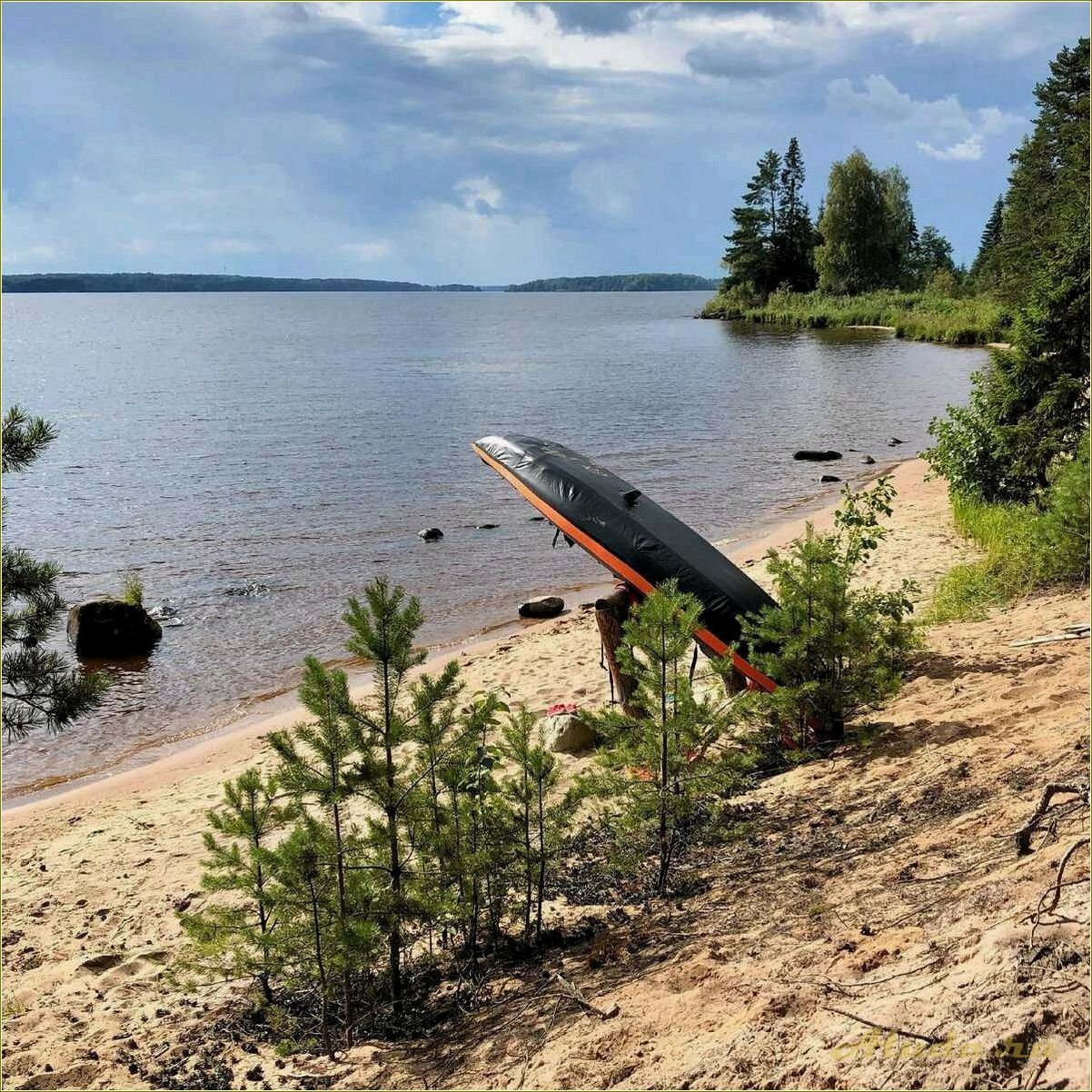 Отдых на рыбалке в Тверской области