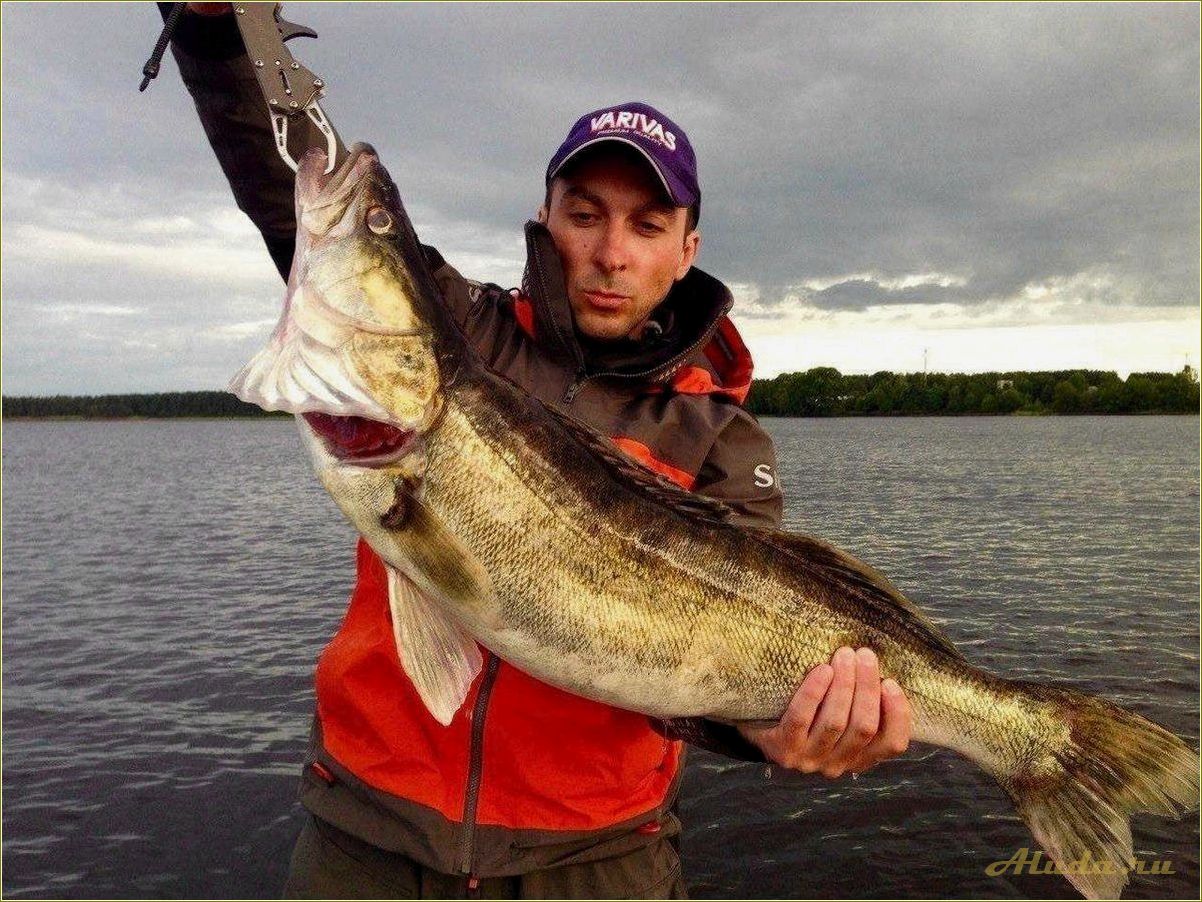 Отдых на рыбалке в Тверской области