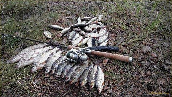 Отдых на рыбалке в Тверской области