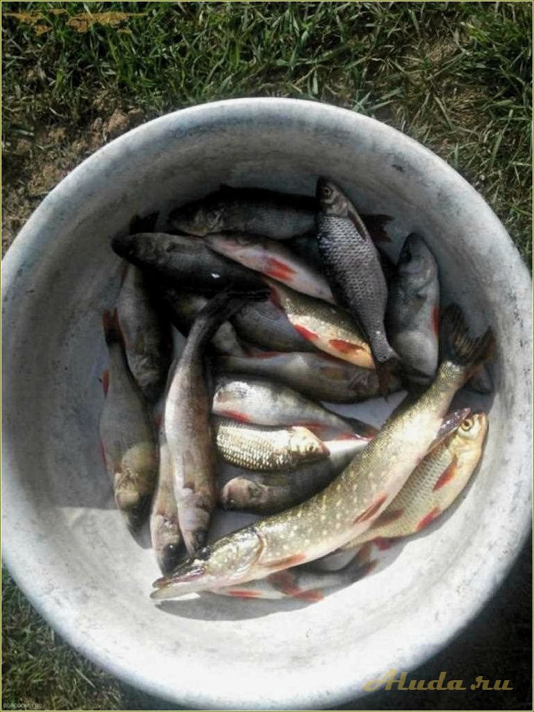 Отдых на рыбалке в Тверской области