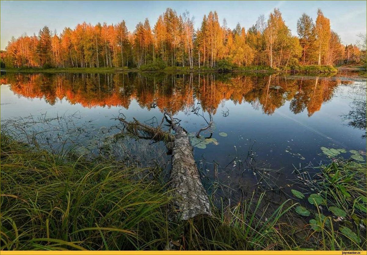 Насладитесь красотами осени в Кировской области — идеальный отдых в окружении ярких осенних красок, уютных коттеджей и вкуснейших местных деликатесов