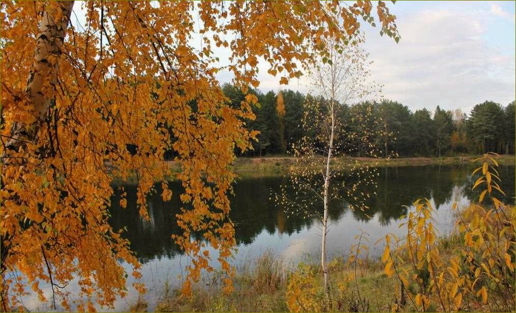 Насладитесь красотами осени в Кировской области — идеальный отдых в окружении ярких осенних красок, уютных коттеджей и вкуснейших местных деликатесов