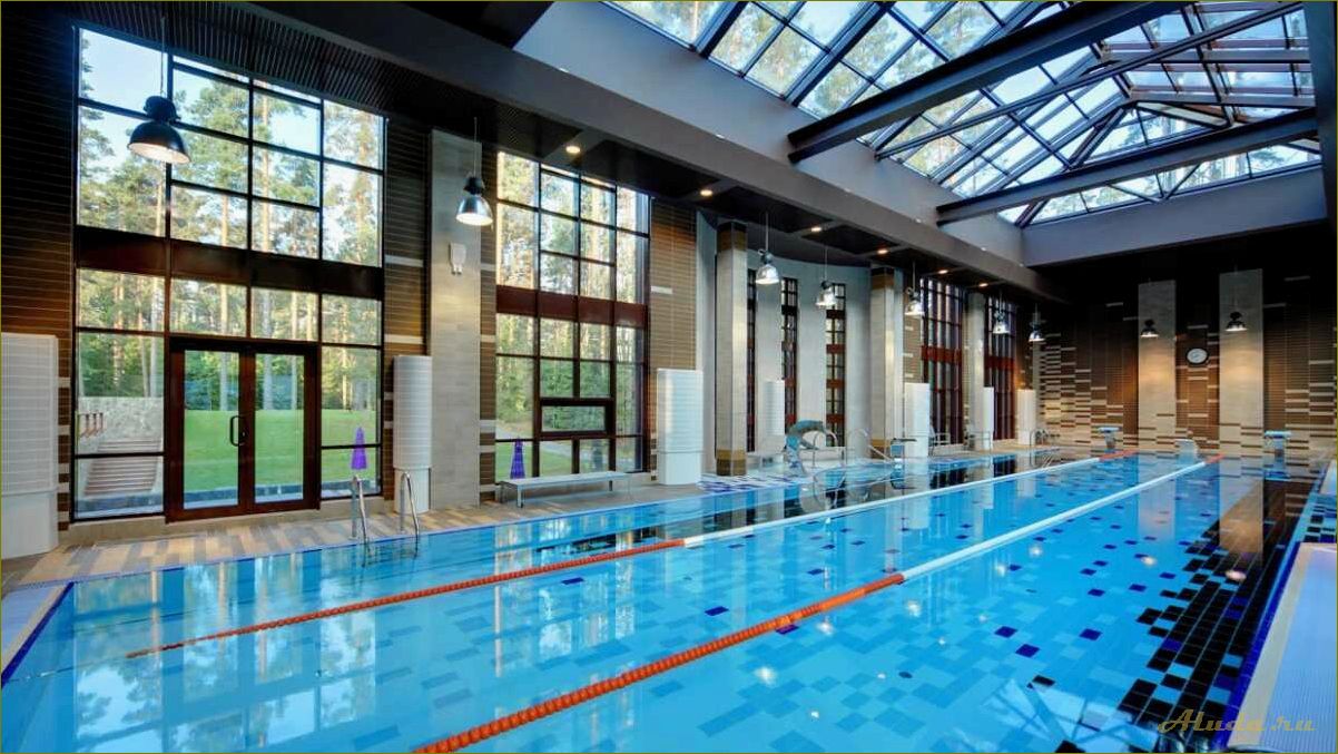 Отдых в Новгородской области с бассейном и питанием для детей — идеальные варианты для семейного отдыха