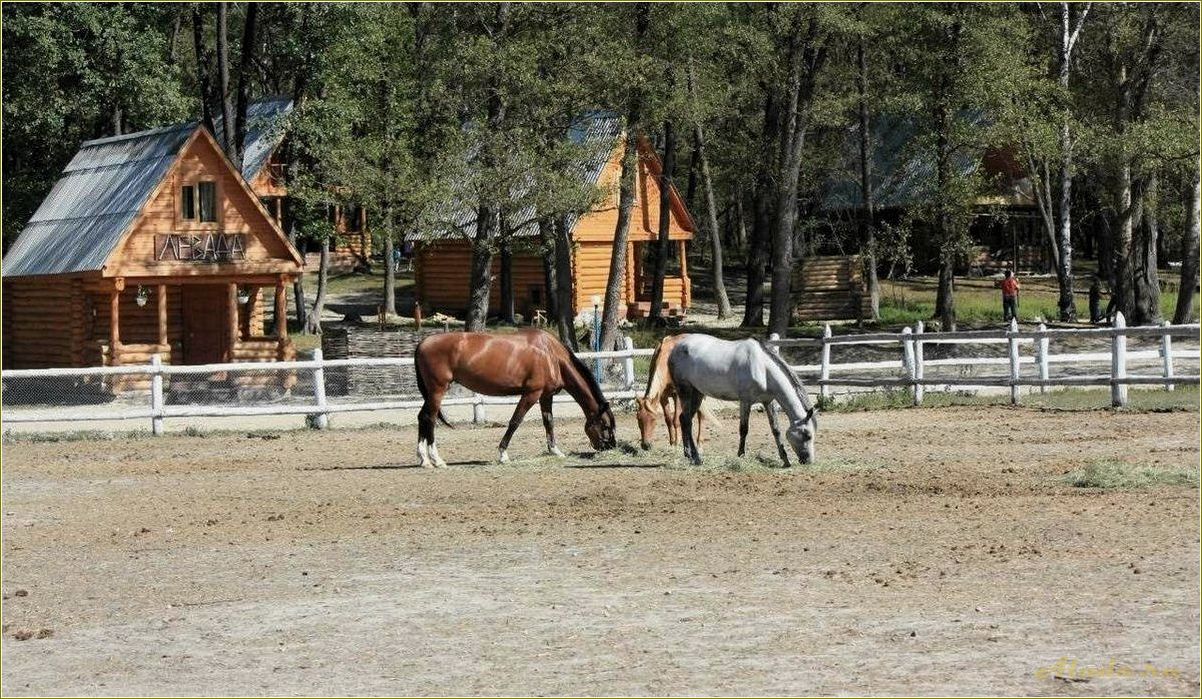 Солнечный и спокойный сентябрь — идеальное время для отдыха в живописной пензенской области