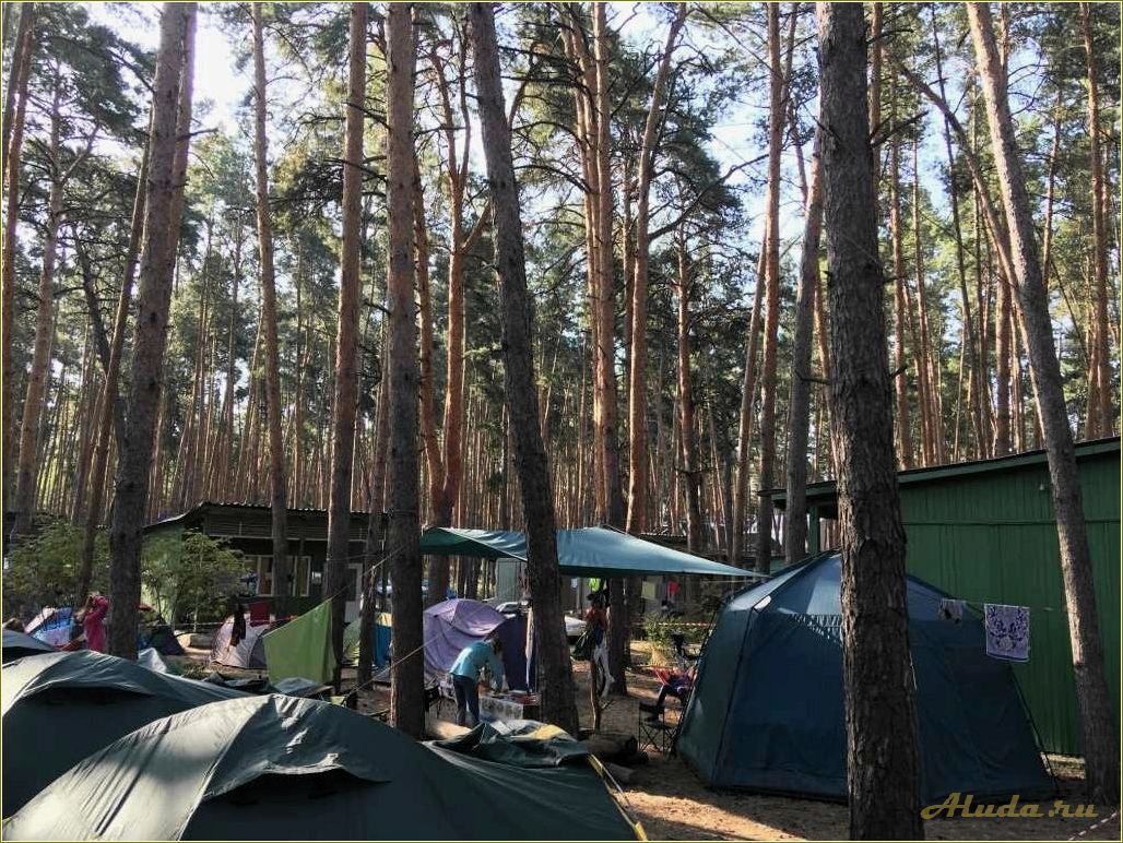 (отдых, тамбовской, области, сосновый, угол) Отдых в Тамбовской области: сосновый угол для релаксации