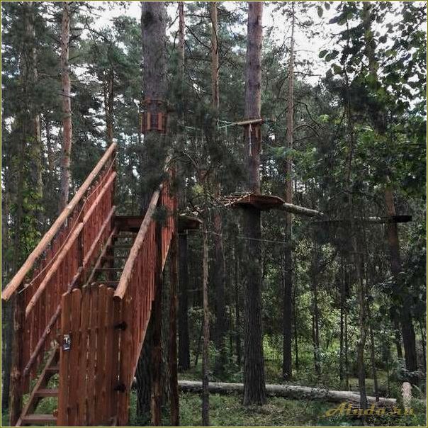 (отдых, тамбовской, области, сосновый, угол) Отдых в Тамбовской области: сосновый угол для релаксации