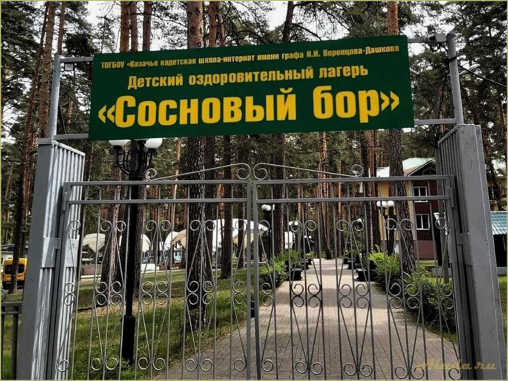 (отдых, тамбовской, области, сосновый, угол) Отдых в Тамбовской области: сосновый угол для релаксации