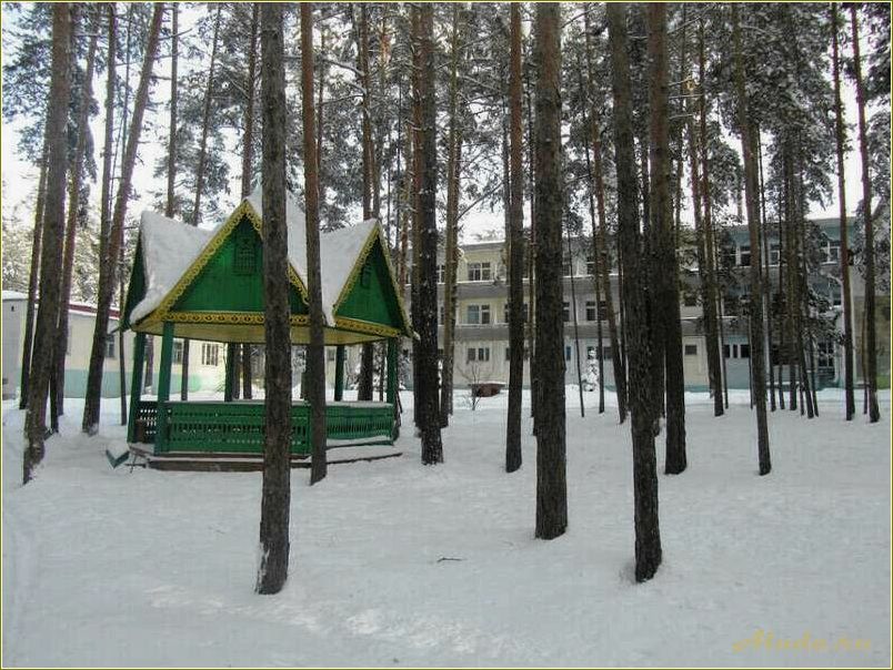 (отдых, тамбовской, области, сосновый, угол) Отдых в Тамбовской области: сосновый угол для релаксации