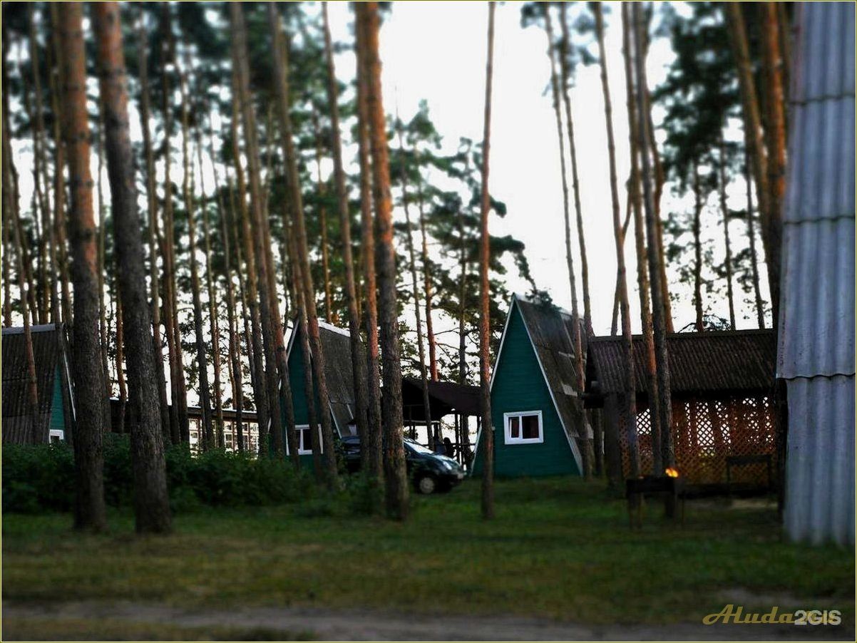 (отдых, тамбовской, области, сосновый, угол) Отдых в Тамбовской области: сосновый угол для релаксации