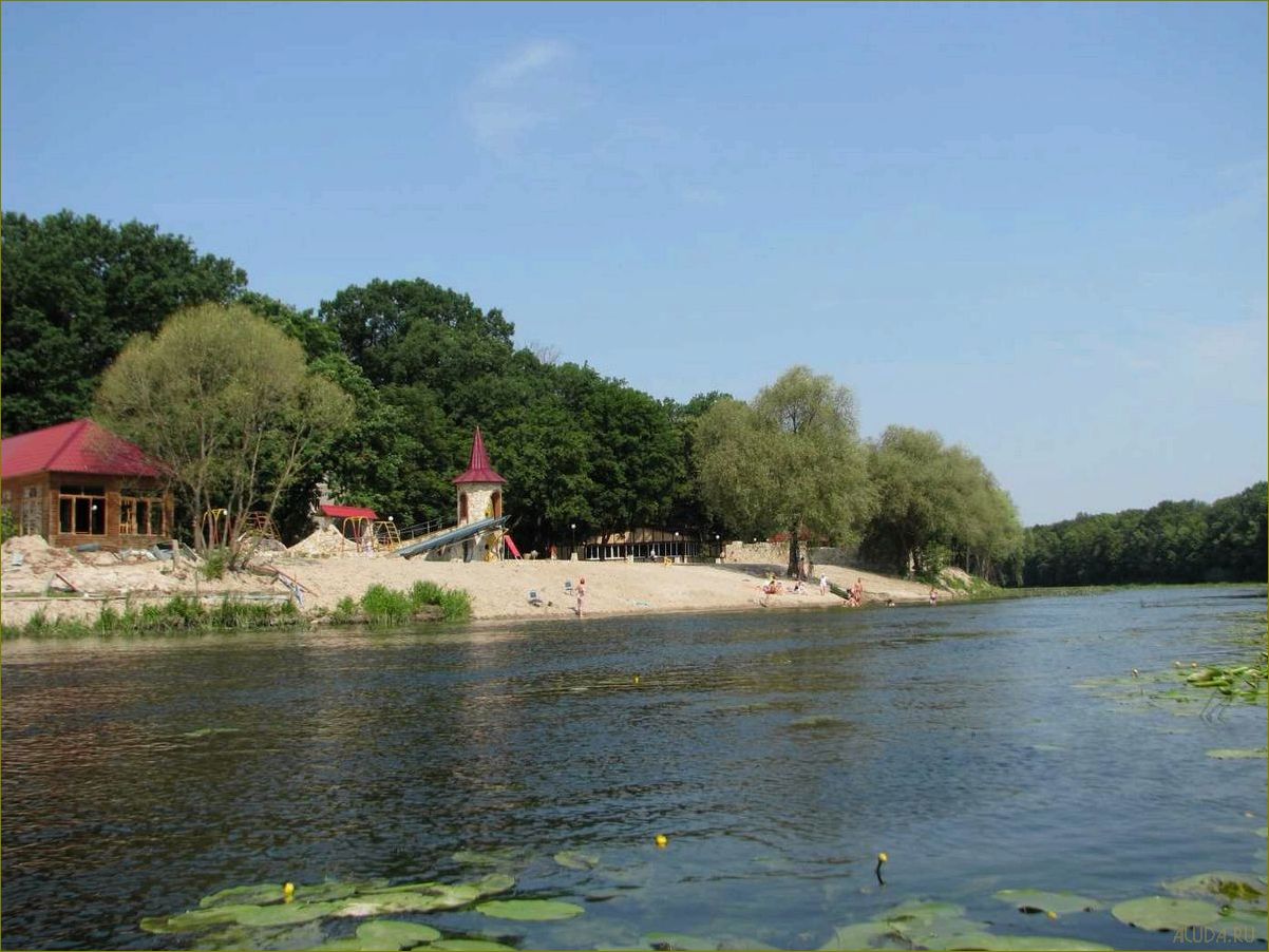 Отдых в Воронежской области — база отдыха 