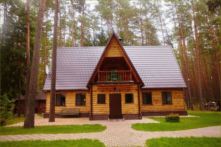 Отдых выходного дня в прекрасной Брянской области — насладитесь природой, историей и культурой этого удивительного региона!