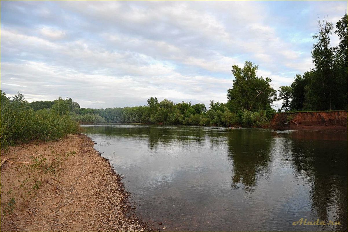 Великолепный отдых на берегу Оренбургской области — от прогулок по песчаным пляжам до водных развлечений и рыбалки