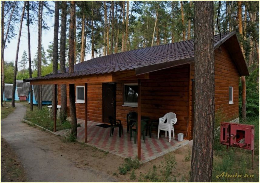 Отдых за городом в самарской области — лучшие места для активного отдыха и релаксации