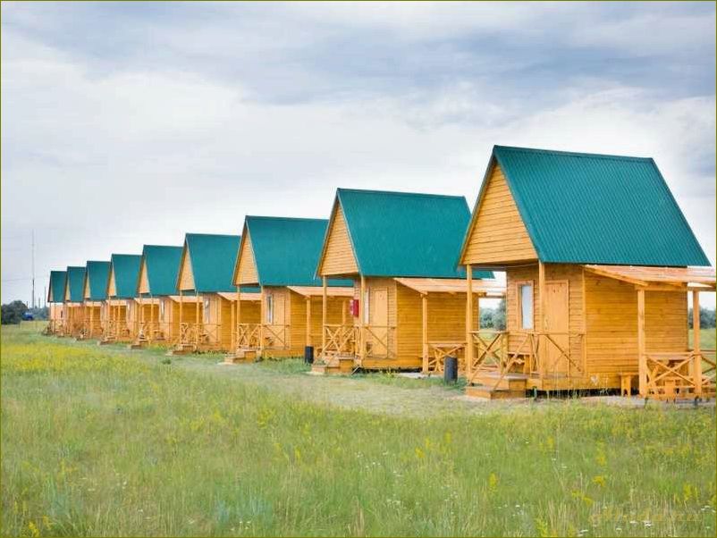 Отдых на базах отдыха в Алтайском крае и Новосибирской области — идеальный отпуск в окружении природы и комфорта