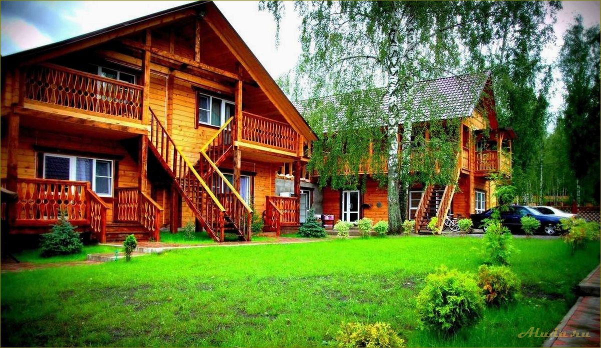Отдых на базах отдыха в Алтайском крае и Новосибирской области — идеальный отпуск в окружении природы и комфорта