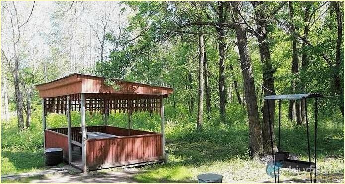 Отдых на базе отдыха Калинка Самарской области