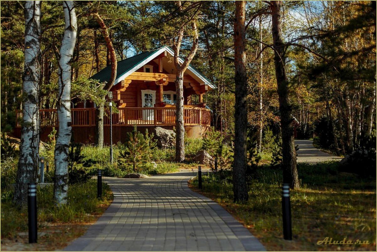 Отдых на Челнавке Тамбовской области