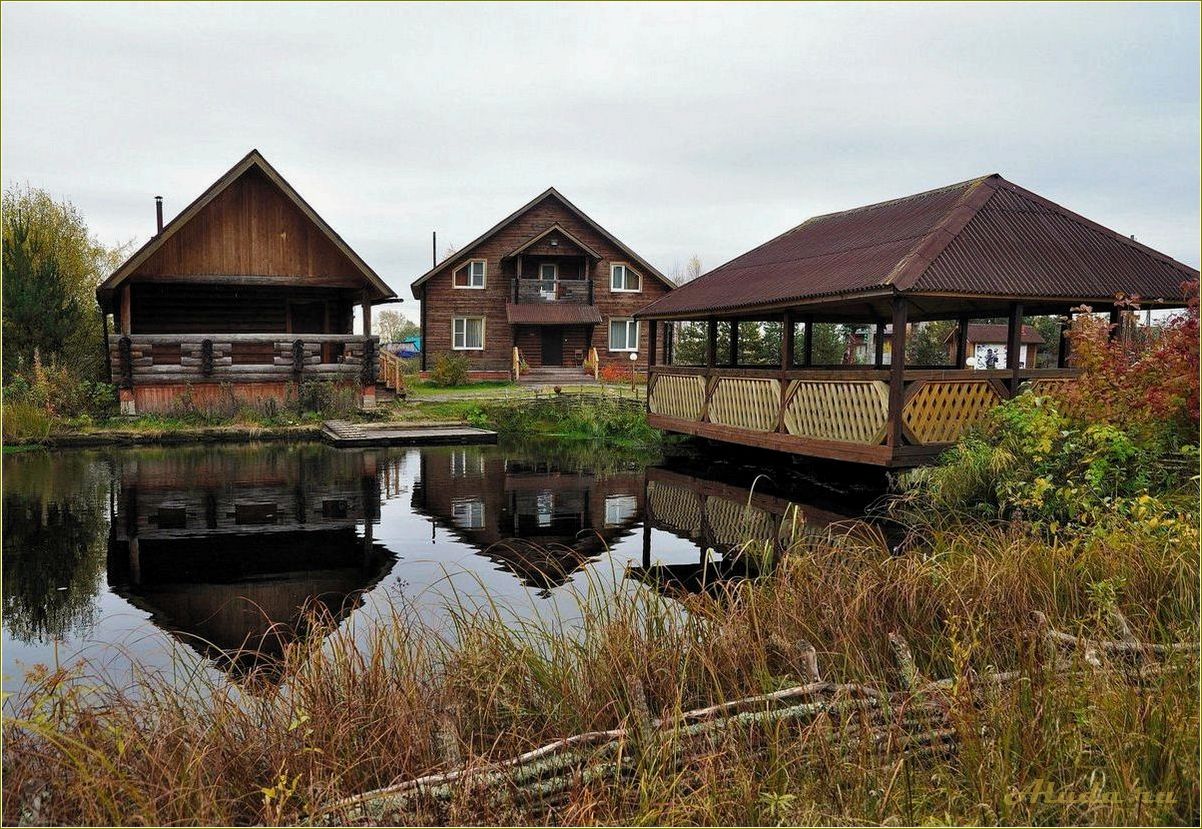 Отдых на Челнавке Тамбовской области