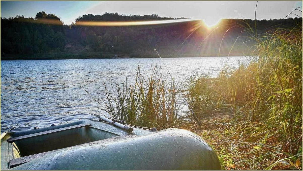 Отдых на оке с палатками в Рязанской области — где и как провести незабываемые выходные