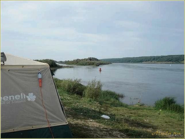 Отдых на оке с палатками в Рязанской области — где и как провести незабываемые выходные